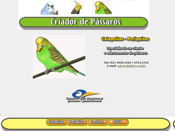 www.criadordepassaros.com