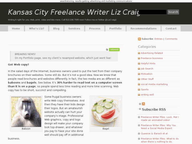 www.lizcraigwriter.com