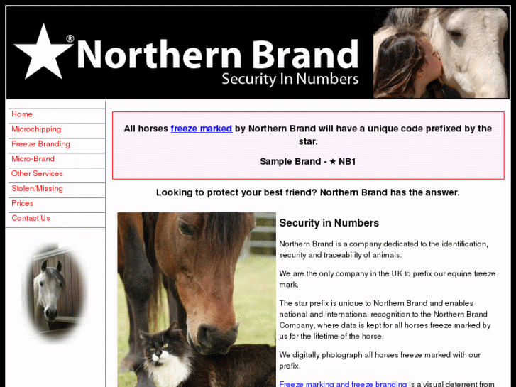 www.northernbrand.co.uk