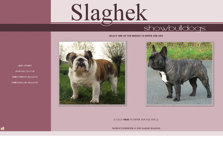 www.slaghek-bulldogs.com