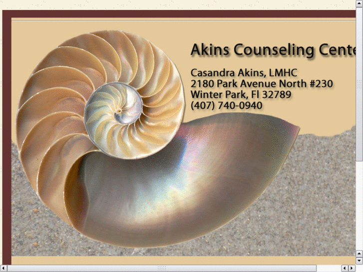 www.akinscounselingcenter.com