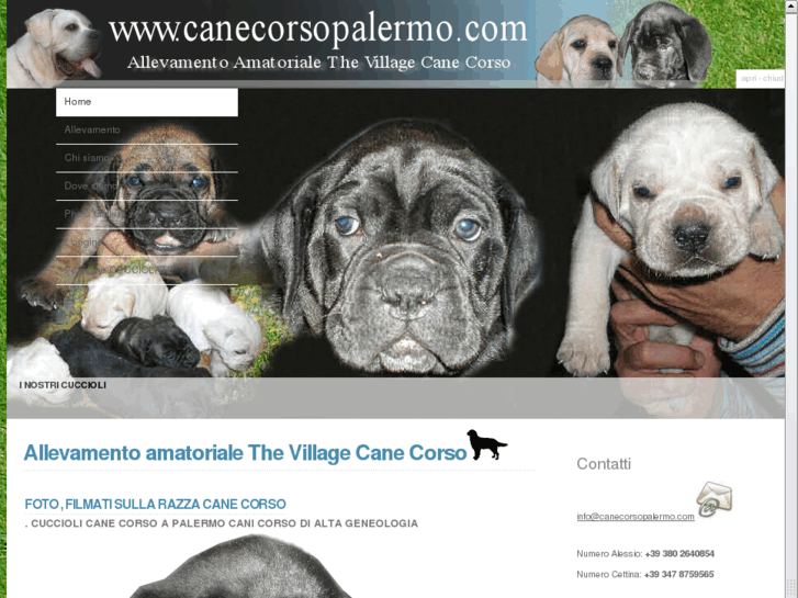 www.canecorsopalermo.com