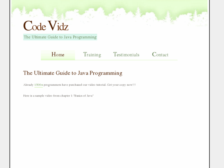 www.codevidz.com