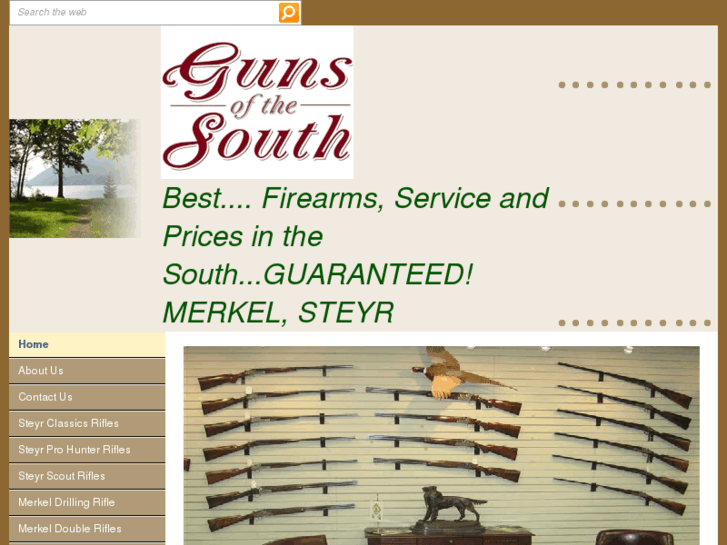 www.gunsofthesouth.com