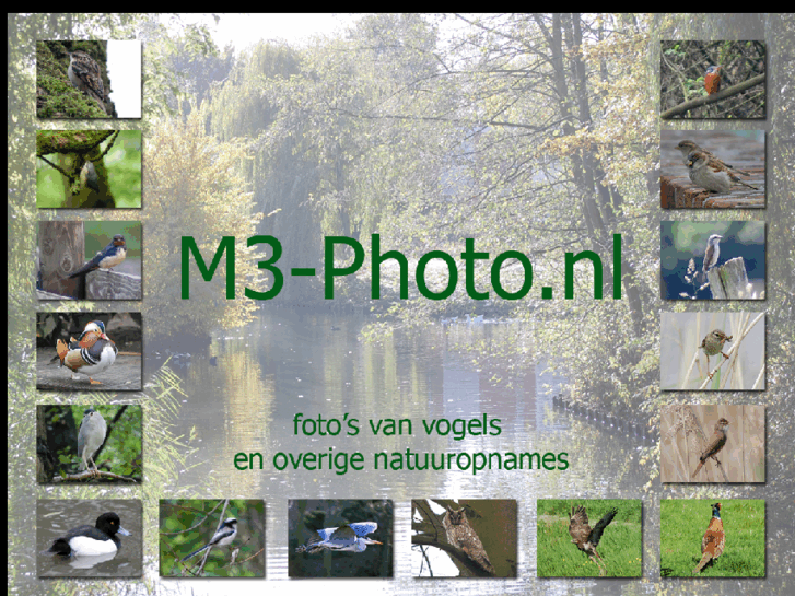 www.m3-photo.nl