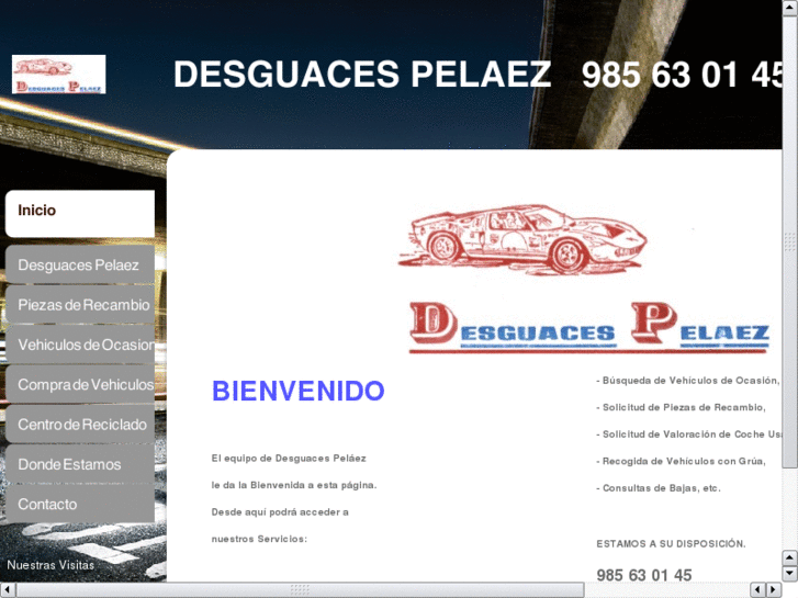 www.desguacespelaez.com