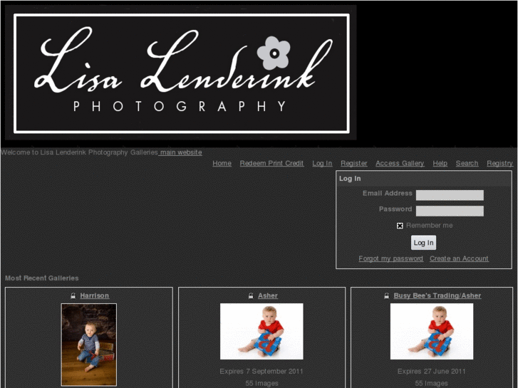 www.lisalenderink.com