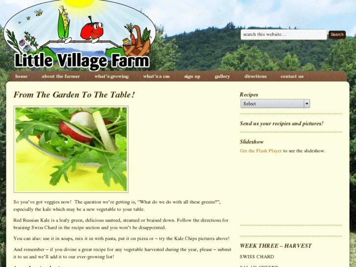 www.littlevillagefarm.com