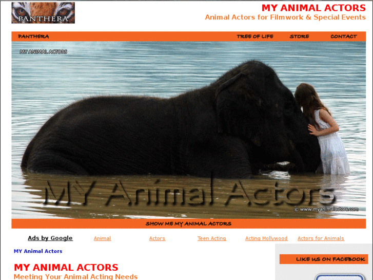 www.myanimalactors.com