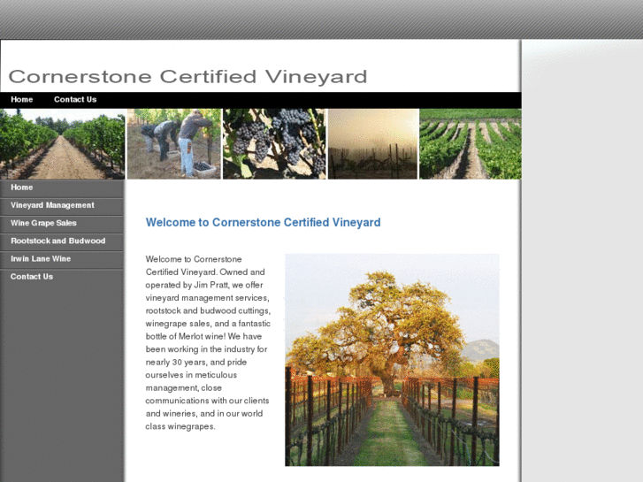 www.cornerstonecertifiedvineyard.com