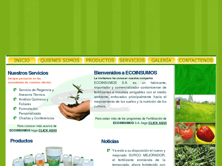 www.ecoinsumos.com