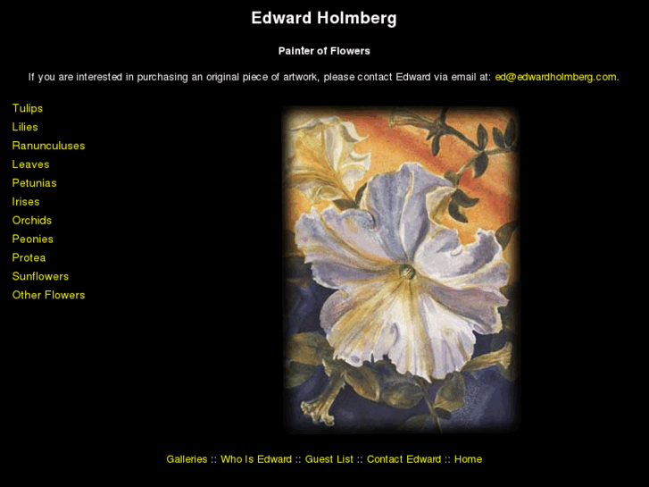 www.edwardholmberg.com