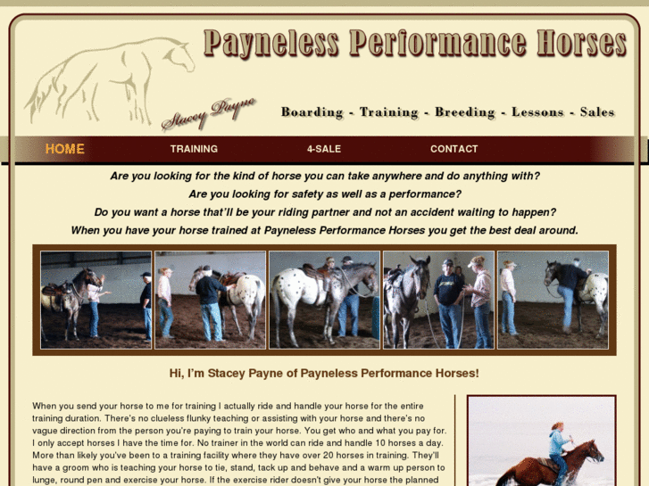 www.paynelessperformancehorses.com