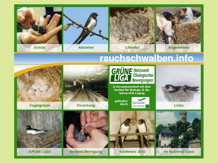 www.rauchschwalben.info