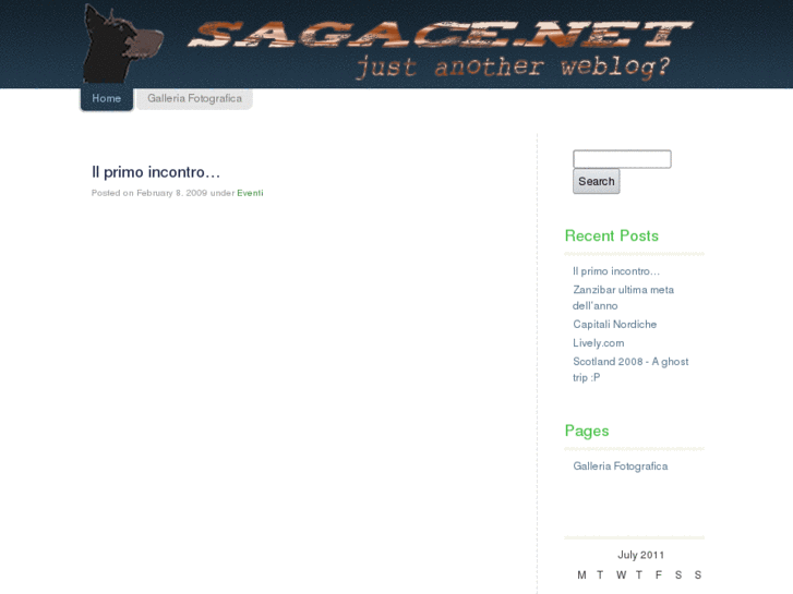 www.sagace.net