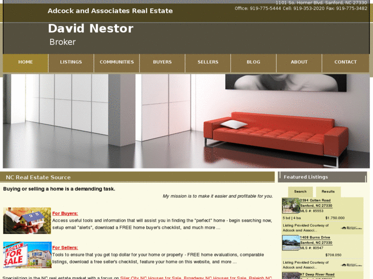 www.davidnestor.com