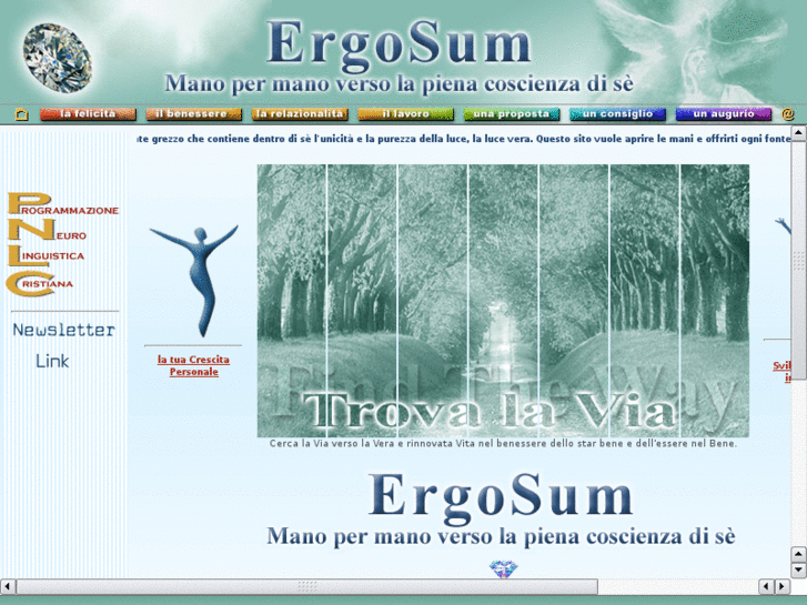 www.ergosumweb.net