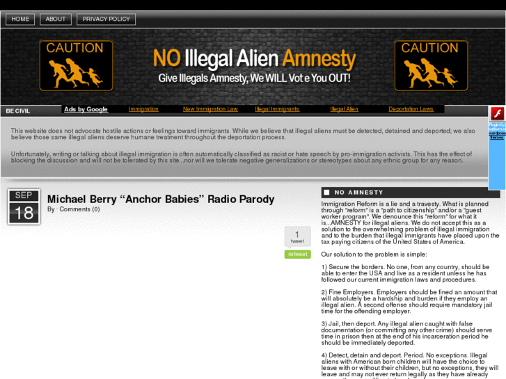 www.noillegalalienamnesty.info