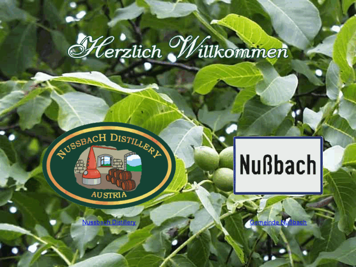 www.nussbach.at