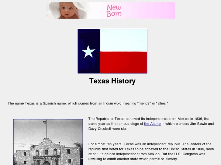 www.texashistory.info
