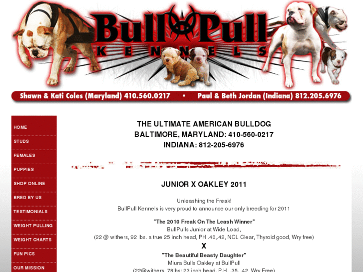 www.bullpullkennels.com