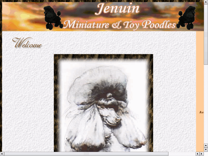 www.jenuinpoodles.com