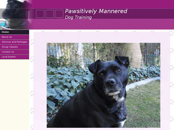 www.pawsitivelymannered.com