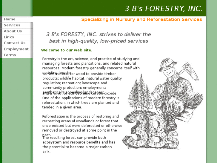 www.3bsforestry.com