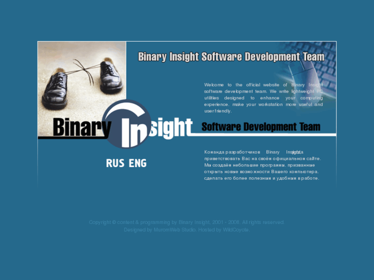 www.binary-insight.com