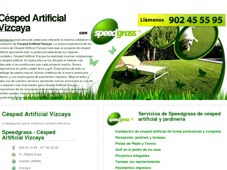 www.cespedartificialvizcaya.com