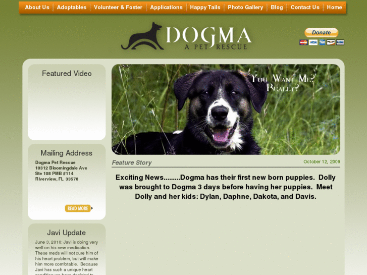 www.dogmarescue.org