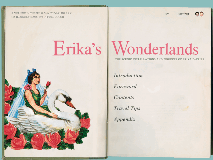 www.erikaswonderlands.net
