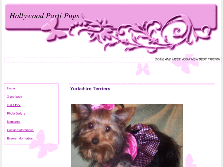 www.hollywoodpartipups.net