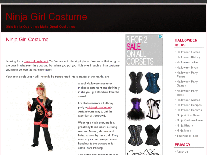 www.ninjagirlcostume.net