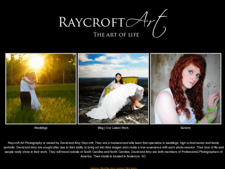 www.raycroftart.com