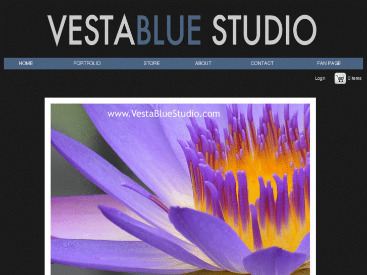 www.vestabluestudio.com