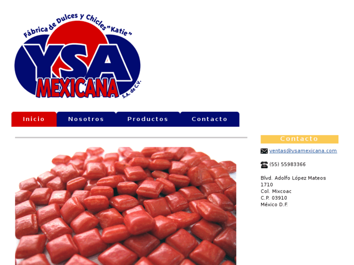 www.ysamexicana.com