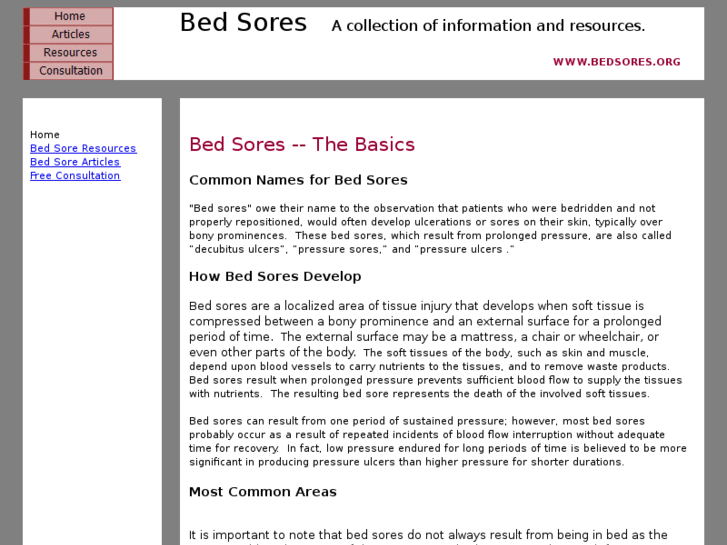 www.bedsores.org