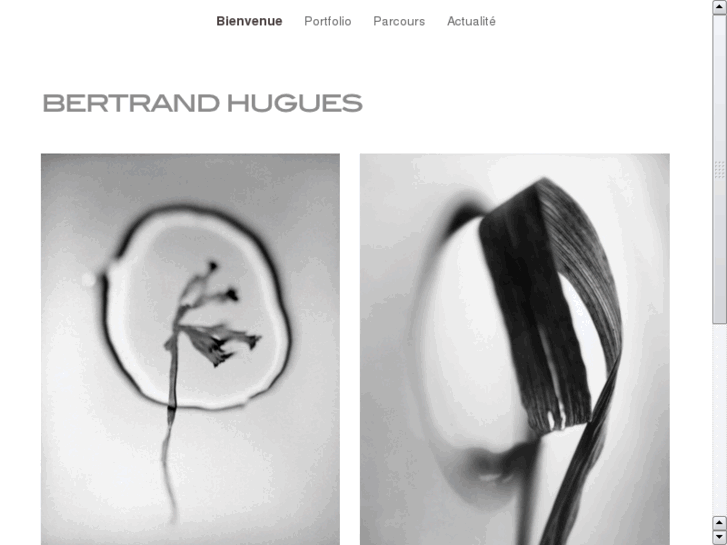 www.bertrandhugues.com