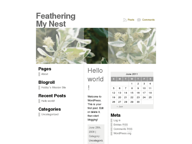 www.featheringmynest.com