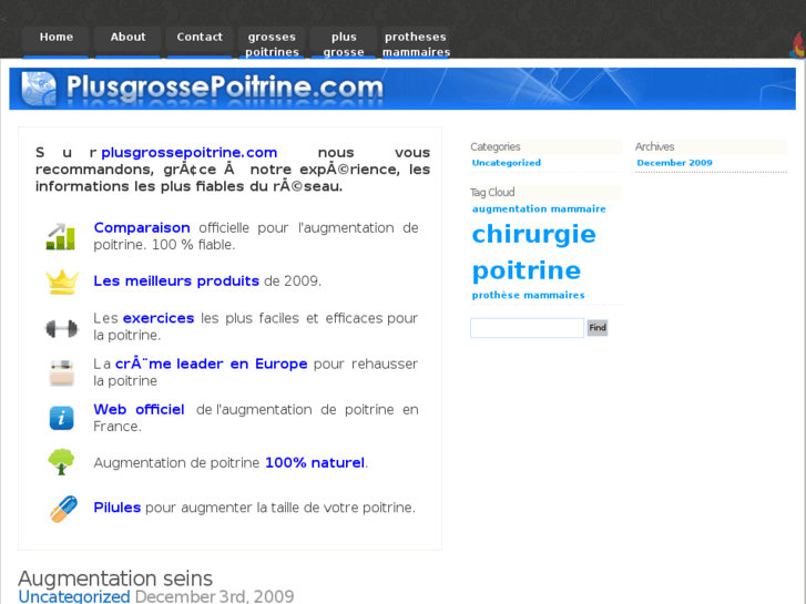 www.plusgrossepoitrine.com