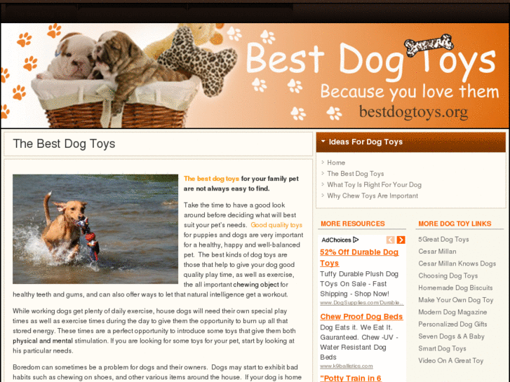 www.bestdogtoys.org