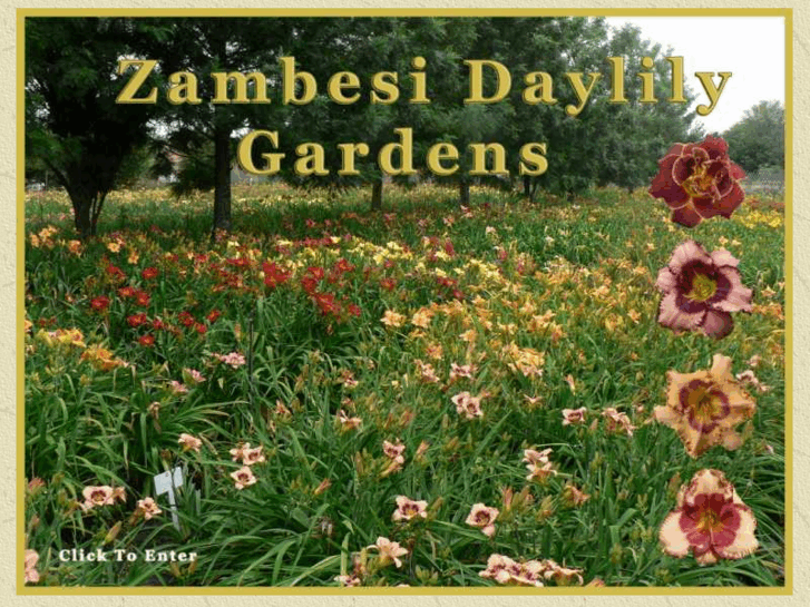 www.daylilies.co.za