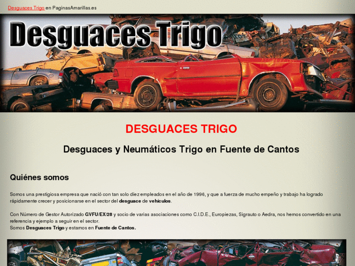 www.desguacestrigo.es