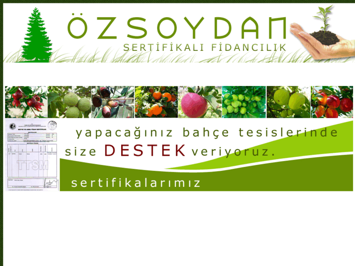 www.ozsoydanfidancilik.net