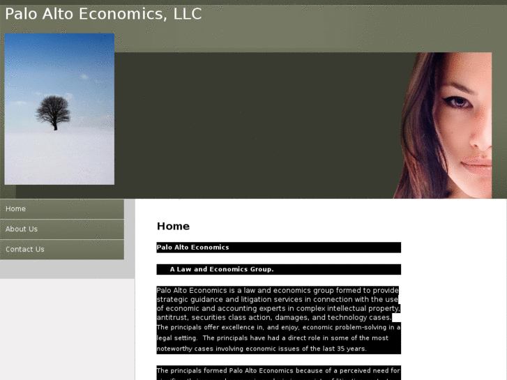 www.paloaltoeconomics.com