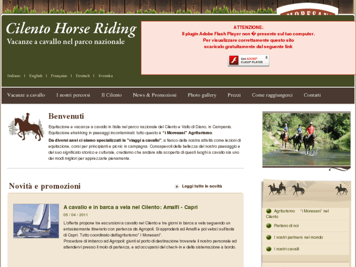 www.cilentohorseriding.com