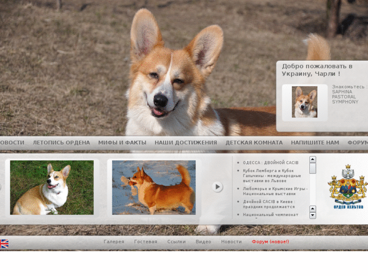 www.corgi-dnepr.com