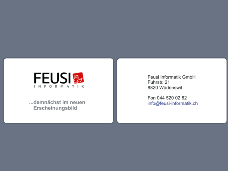 www.feusi.info