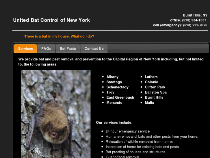 www.batproofny.com